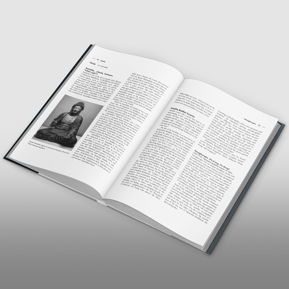 Encyclopedia Of Buddhism (Encyclopedia of World Religions) - Image 2