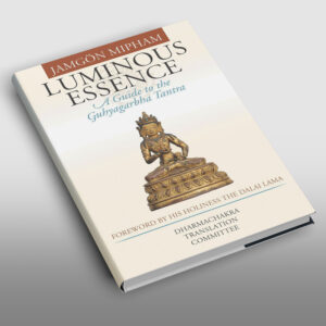 Luminous Essence: A Guide to the Guhyagarbha Tantra