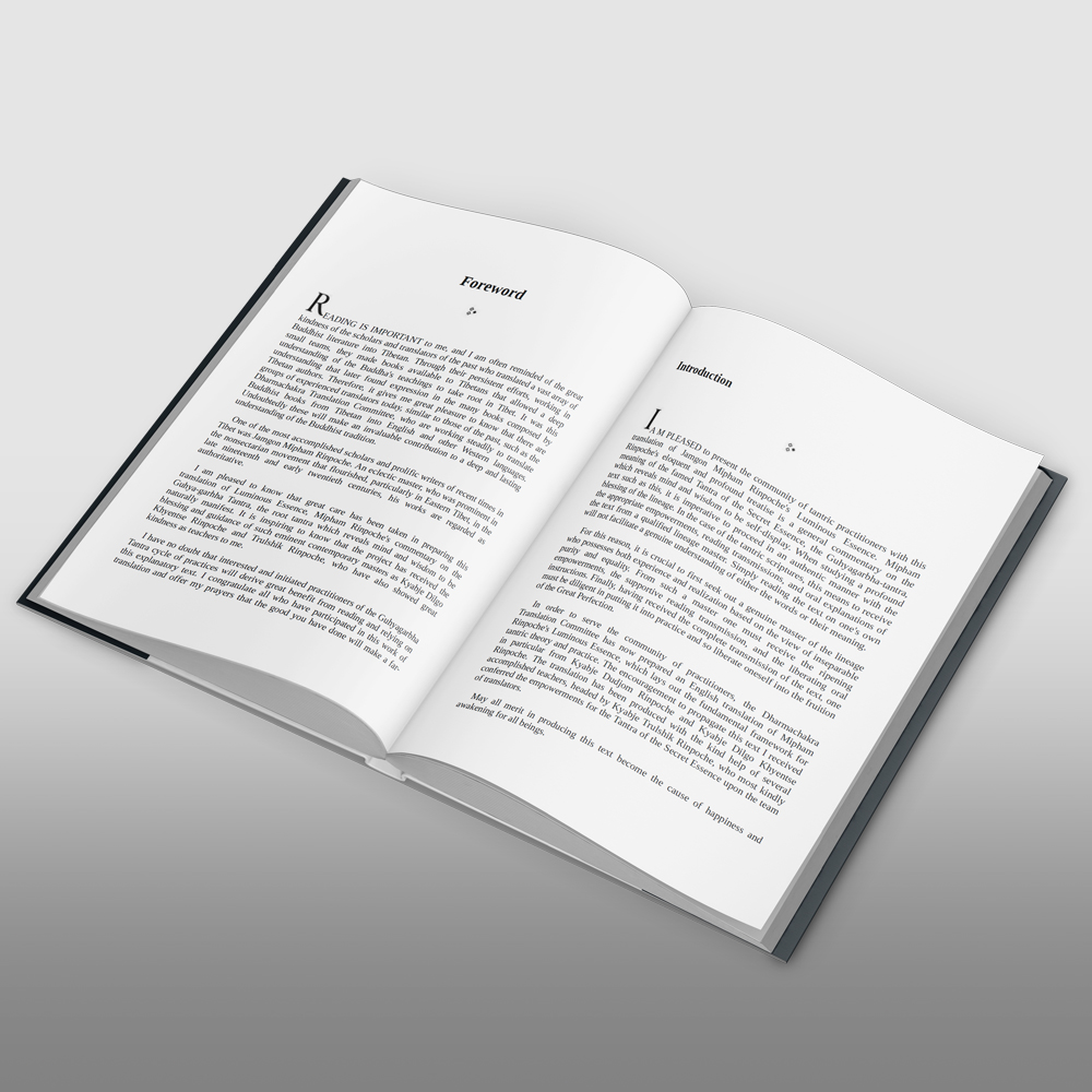 Luminous Essence: A Guide to the Guhyagarbha Tantra - Image 3