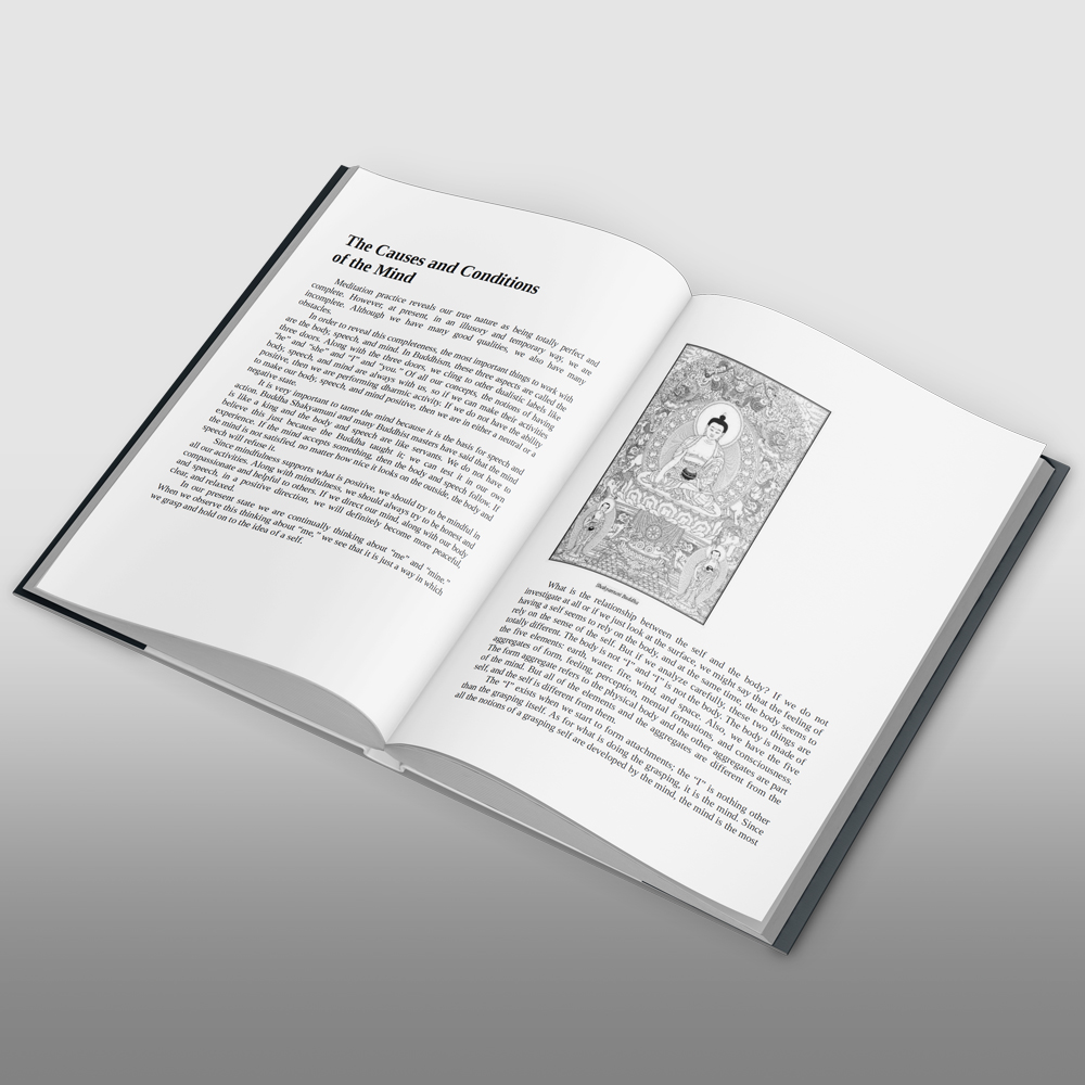 The Buddhist Path: A Practical Guide from the Nyingma Tradition of Tibetan Buddhism - Image 2